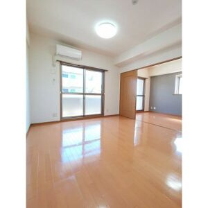 レージュ桔梗平のその他共用部分