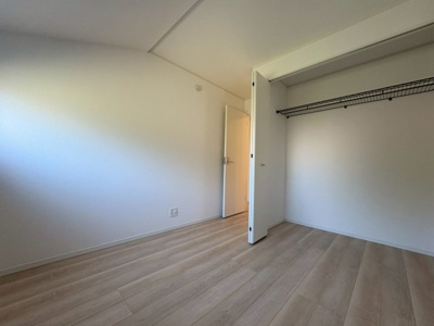 【周辺】 | 最終1棟！緑豊かな幸町で南道路の新築分譲住宅５棟誕生！ | 玉川上水緑道
