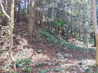 売土地　田方郡函南町平井の画像