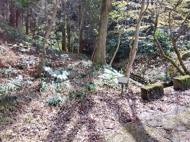 売土地　田方郡函南町平井の外観|約120坪あり広々としています。自由な間取りでお家が建てられます。駐車場を広く取る事も可能です。
