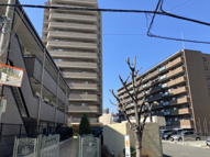 シェーンブルクなかもずの画像