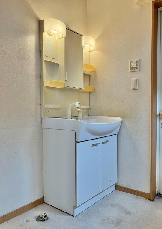 新白岡戸建の洗面所