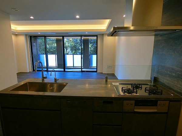 港区三田２丁目の賃貸マンションのその他|キッチン