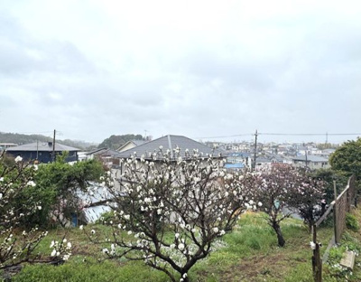 【展望】 | 市東邸