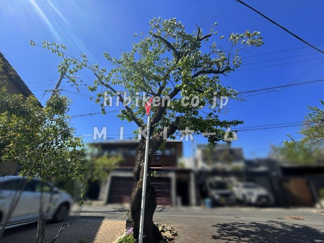 箕面市半町１丁目　土地の周辺