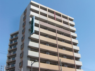 エクセレント上新15の画像