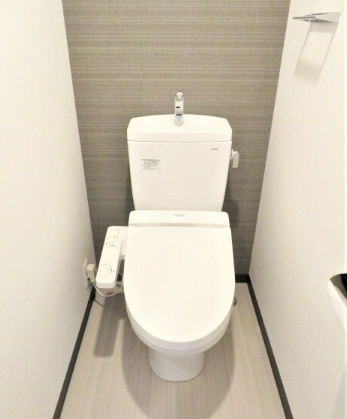 S-RESIDENCE江坂Alegriaのトイレ
