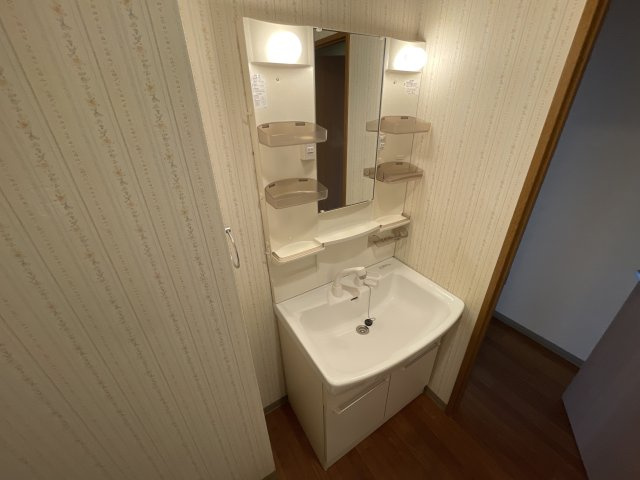 グランドゥール春日の洗面所
