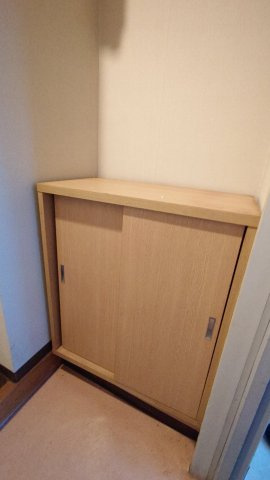 協栄マンションOYAMAの収納|下駄箱※同間取りの701号室の写真です