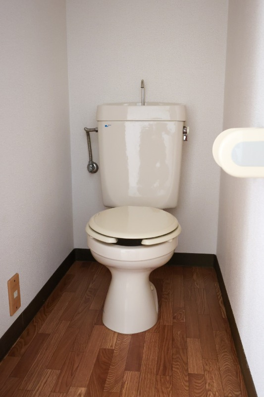 ストレイキャットのトイレ