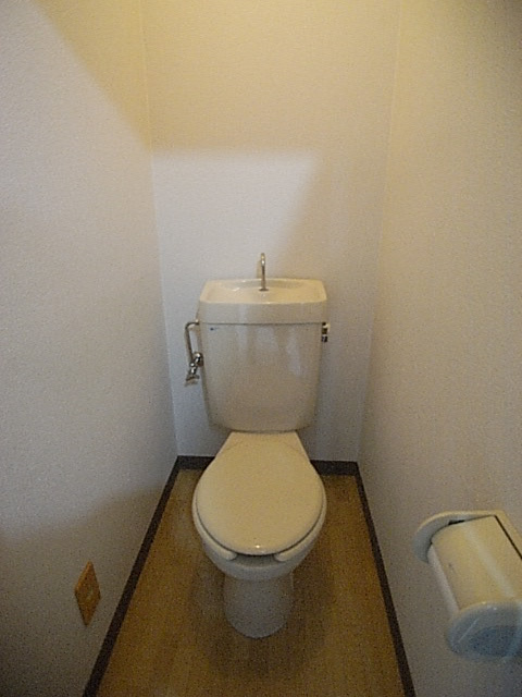 ストレイキャットのトイレ