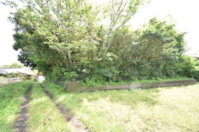 【外観】 | 鹿屋市串良町上小原　売地