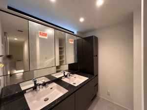 【独立洗面台】 | 2025年4月21日撮影