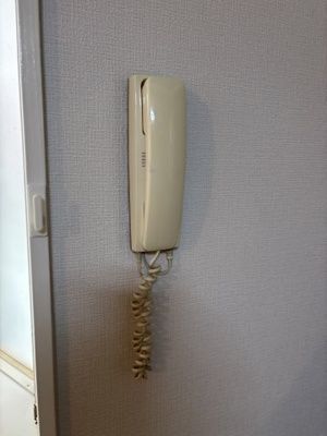 【セキュリティ】 | マイライムⅡ