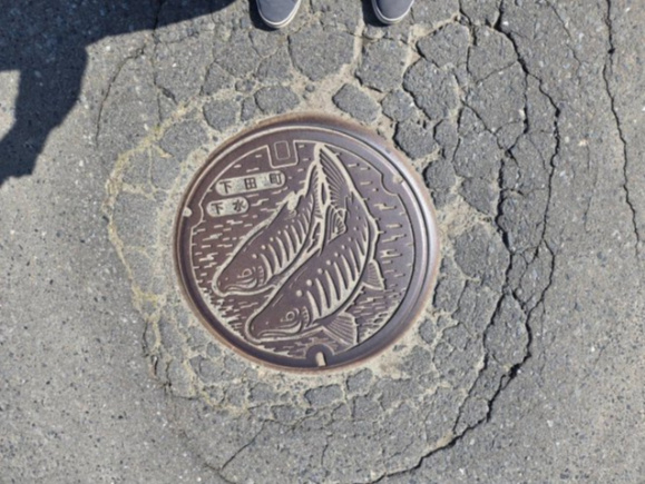 上北郡おいらせ町瓢のその他|前面道路に下水管が入っております。