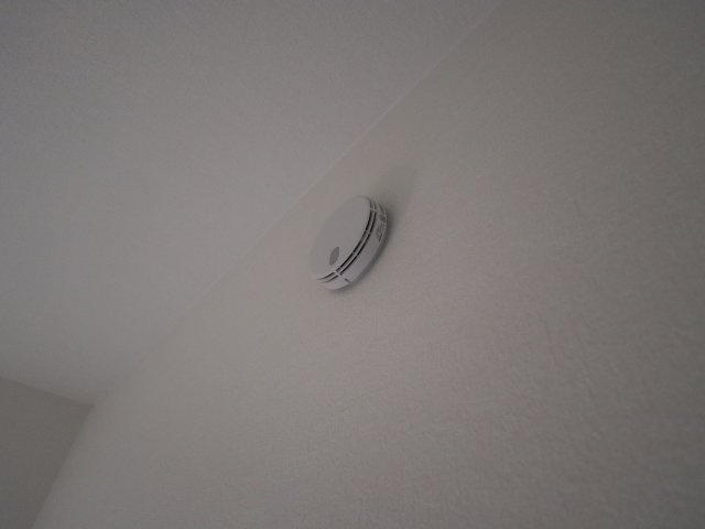 《仲介手数料無料》岩槻区本丸１丁目13-4(全1戸)新築一戸建てずっとプラスのその他|撮影日 2025年7月20日 17:00 晴れ