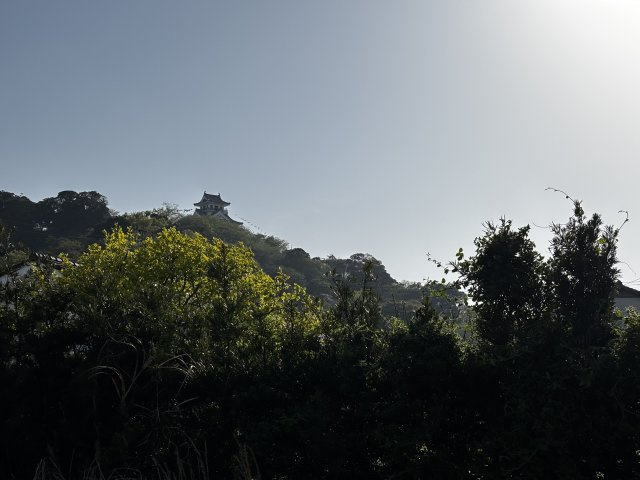 館山市上真倉2257（土地）の展望