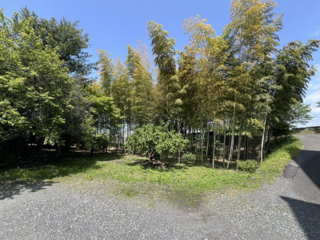 豊原上町土地の外観