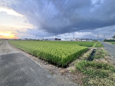 【外観】 | 太田市龍舞町2467-1　農地