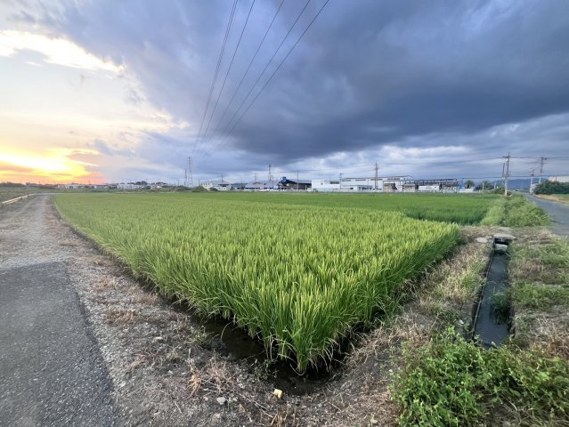 【外観】 | 太田市龍舞町2467-1　農地