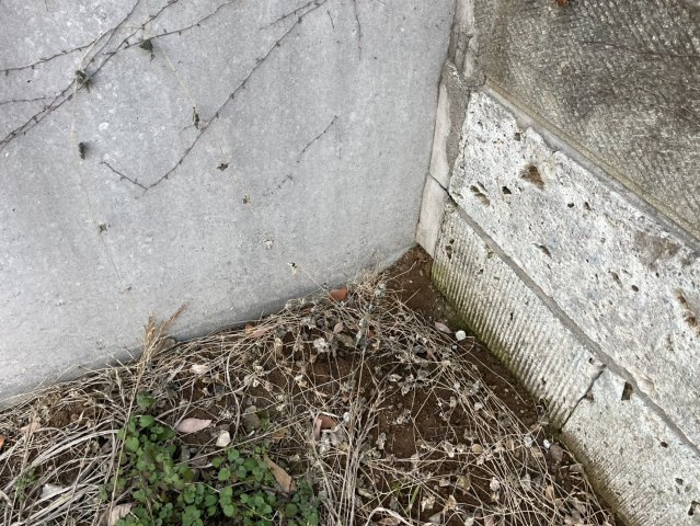 土浦市天川2丁目売地　100坪越え！の外観