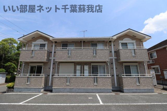 サンシャインⅡ