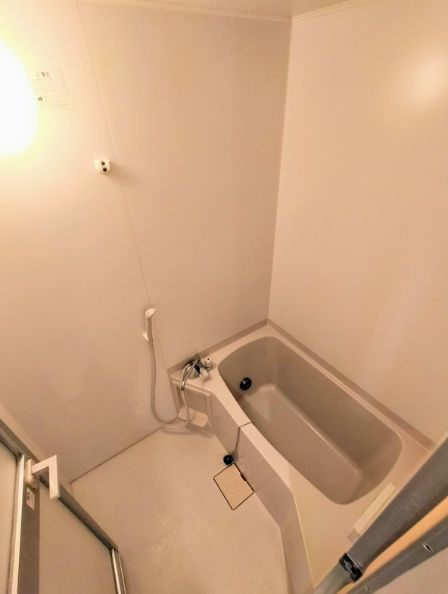 さいたま市浦和区木崎１丁目の賃貸マンションの浴室