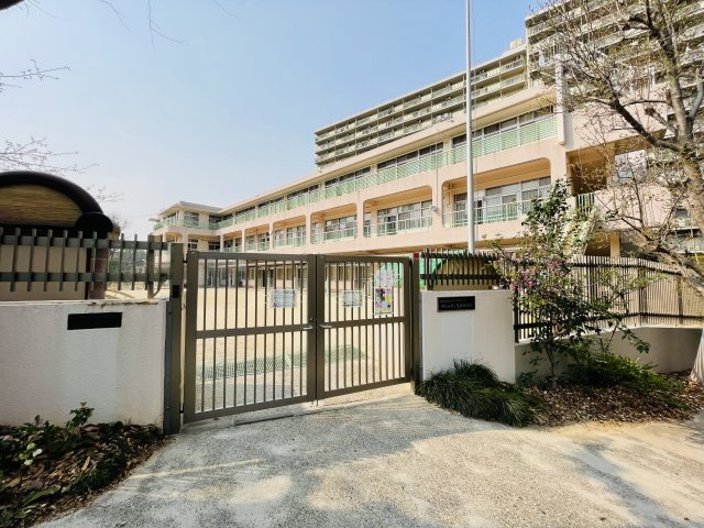 ジェイパーク板橋中台の周辺|サンシティ聖母保育園