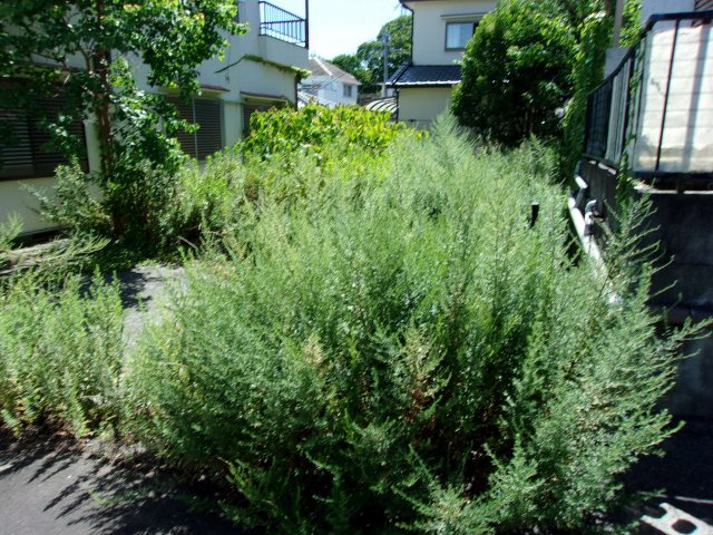 舞子坂４丁目売地の周辺