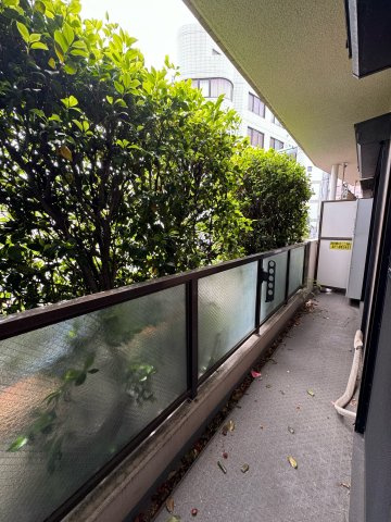 マートルコート下落合のバルコニー|【バルコニー（6.00㎡）】
一階部分で道路に面しているので人目が気になりますが目隠しになる植物があるので安心です。長さがあるので布団なども干すことができます。