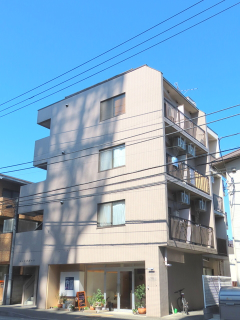 コート・オダマキ