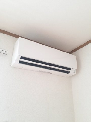 【その他】 | ドルフィンＮ