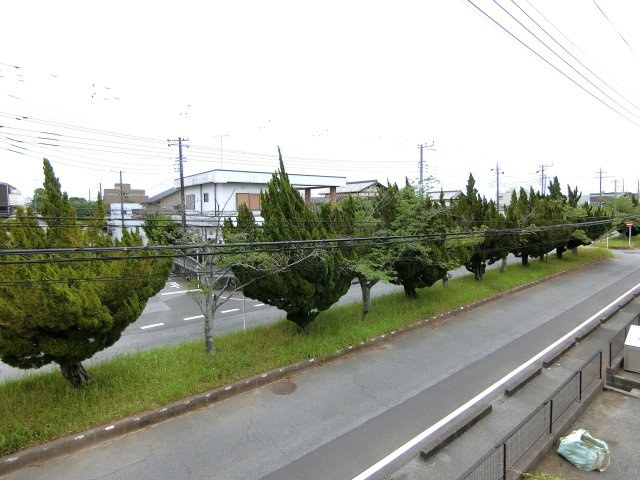 パークハイツA棟の展望