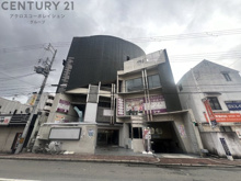 ノアムールセイキの画像