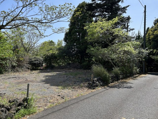 【前面道路含む現地写真】 | すいらん荘別荘地　古家付土地