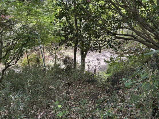 【外観】 | すいらん荘別荘地　古家付土地