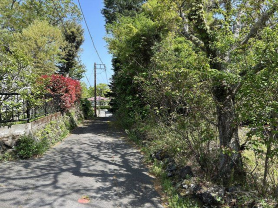 【前面道路含む現地写真】 | すいらん荘別荘地　古家付土地