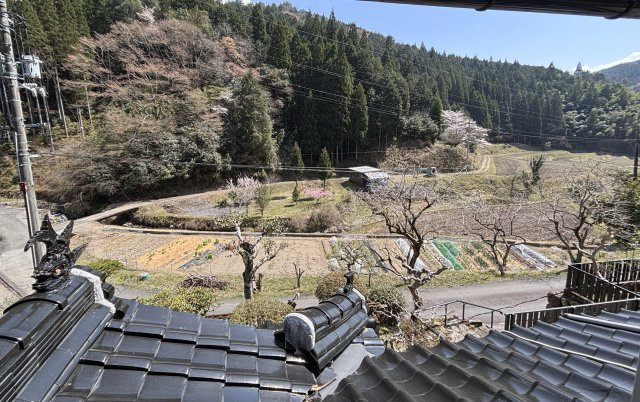 鏡野町百谷 中古住宅 7DK＋S＋離れの展望|２階和室からの風景