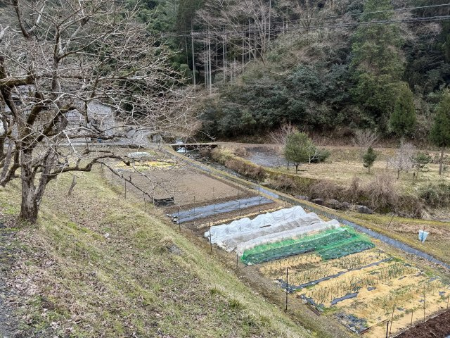 鏡野町百谷 中古住宅 7DK＋S＋離れのその他|隣接の畑