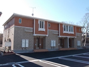 シトラスＢの画像