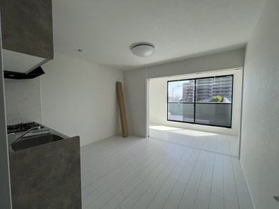 Mirum Maisonの居間・リビング