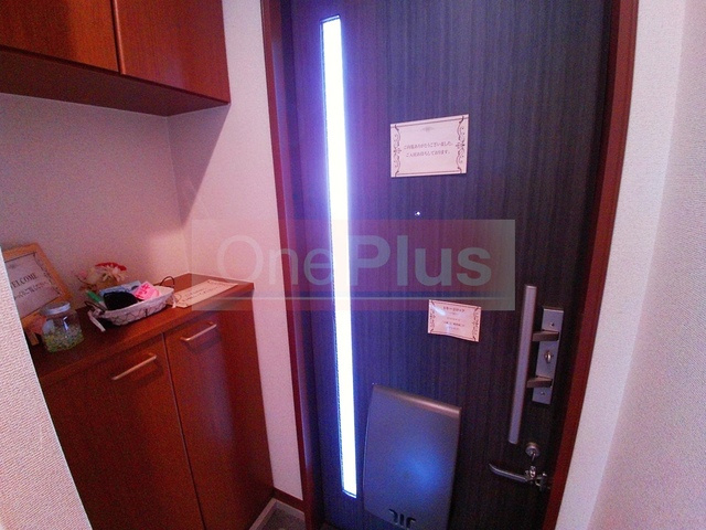 シャーメゾン本山北町の玄関