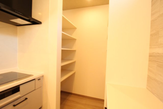 土佐山田町　新築戸建　Ｃ号地　（全4区画）　の収納|パントリー