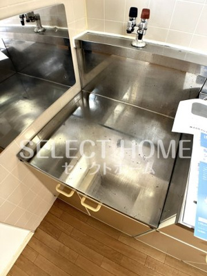  | サティライトB