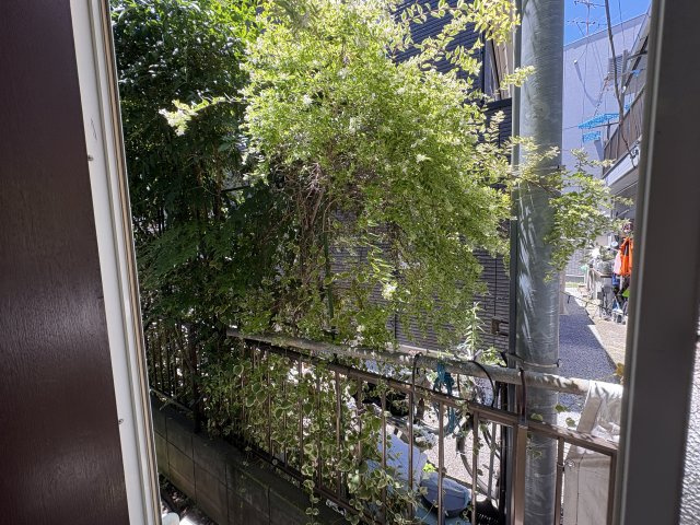 エステートハイツの展望
