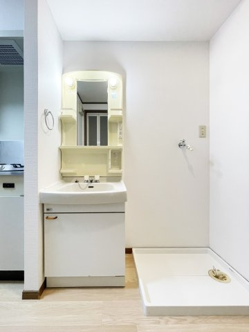 エクセルスミの洗面所