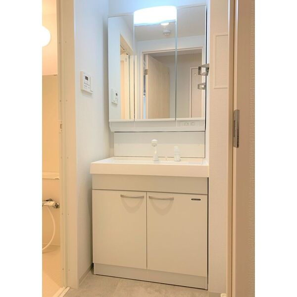 ライブガーデン江坂Ⅸの洗面所