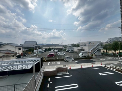 【展望】 | M.bonito