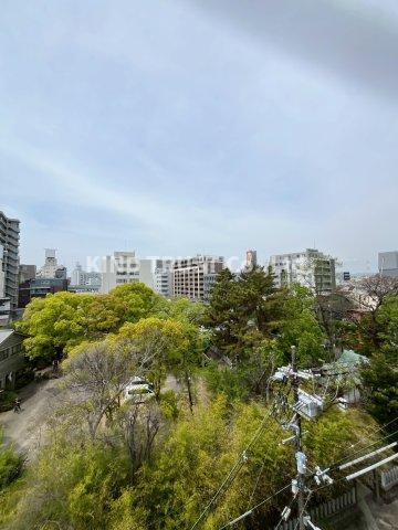 ハイツTESの展望