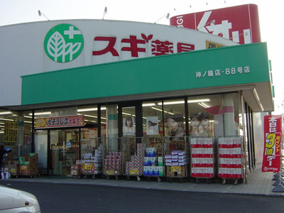 【周辺】 | シティハイツ中浜 | スギドラッグ豊橋中浜店まで445ｍ